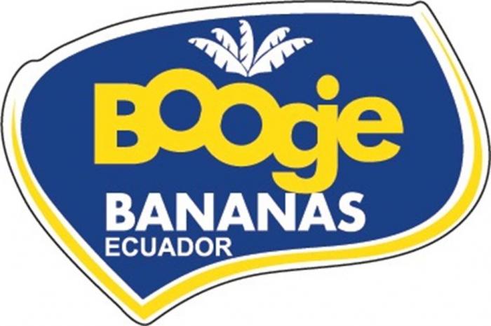 BOOGIE BANANAS ECUADOR