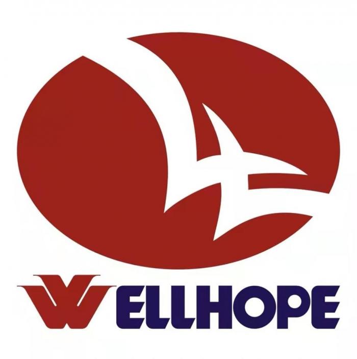 WELLHOPE (ВЭЛЛХОП) – словосочетание, выполненное стандартным шрифтом из прописных букв без пробела, в котором слово «WELL» – «хорошо, правильно» (англ.), «HOPE» – «надежа» (англ