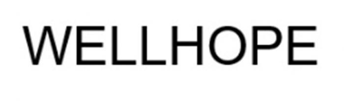 WELLHOPE (ВЭЛЛХОП) – словосочетание, выполненное стандартным шрифтом из прописных букв без пробела, в котором слово «WELL» – «хорошо, правильно» (англ.), «HOPE» – «надежа» (англ