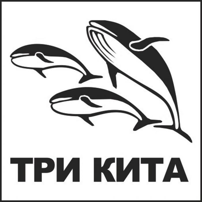 ТРИ КИТА