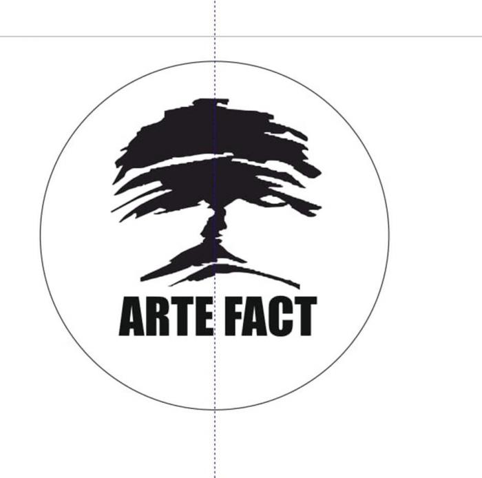 ARTE FACT