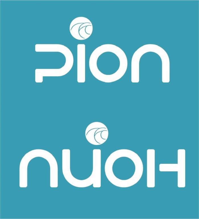 pion пион