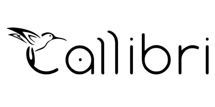 Callibri