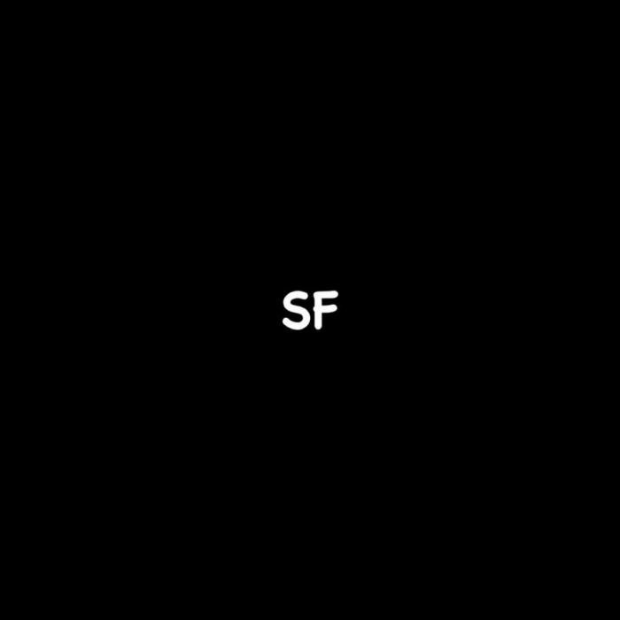 Заявлено словесное обозначение « SF », выполненное прописнымибуквами кириллического алфавита. В отношении заявленных товаровобозначение является фантазийным.
