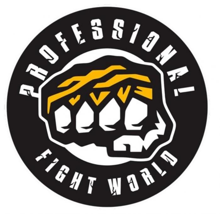 PROFESSIONAL FIGHT WORLD