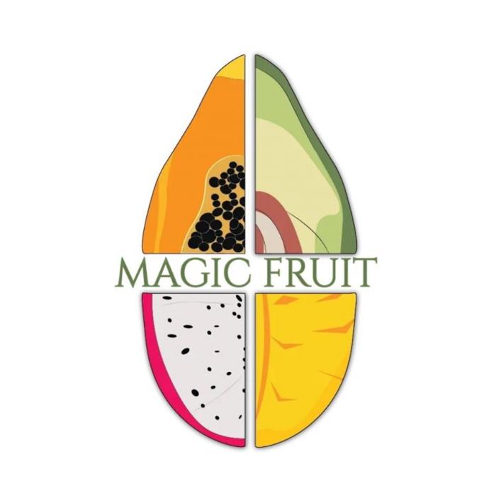 MAGIC FRUIT