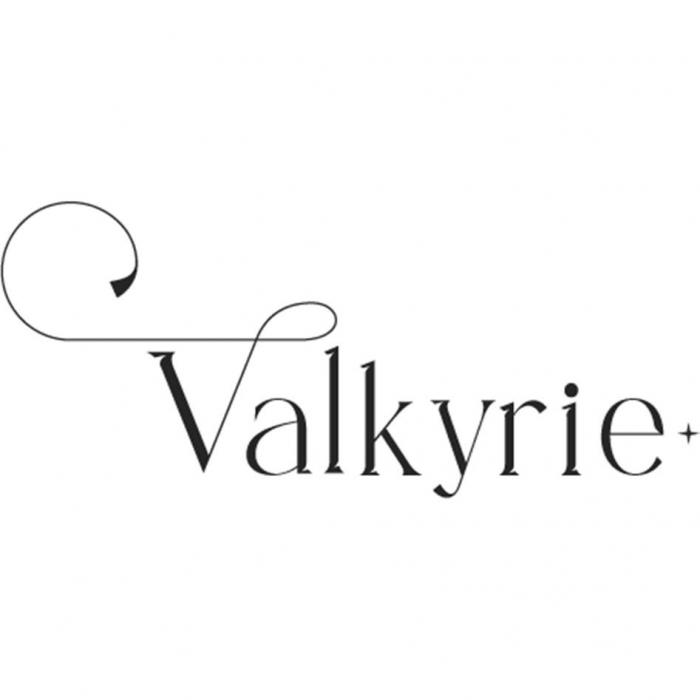 Заявлено обозначение со словесным элементом "VALKYRIE". Обозначение состоит из одного слова. Первая буква V в слове дополнена изогнутой линией, в конце элемента стоит звездочка. Это придает слову элемент фантазийности, оригинальности. Слово "VALKYRIE" написано черным цветом.