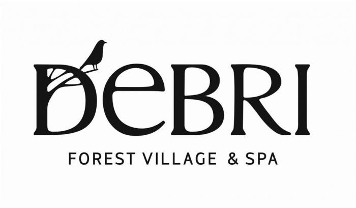 «DEBRI» FOREST VILLAGE & SPA