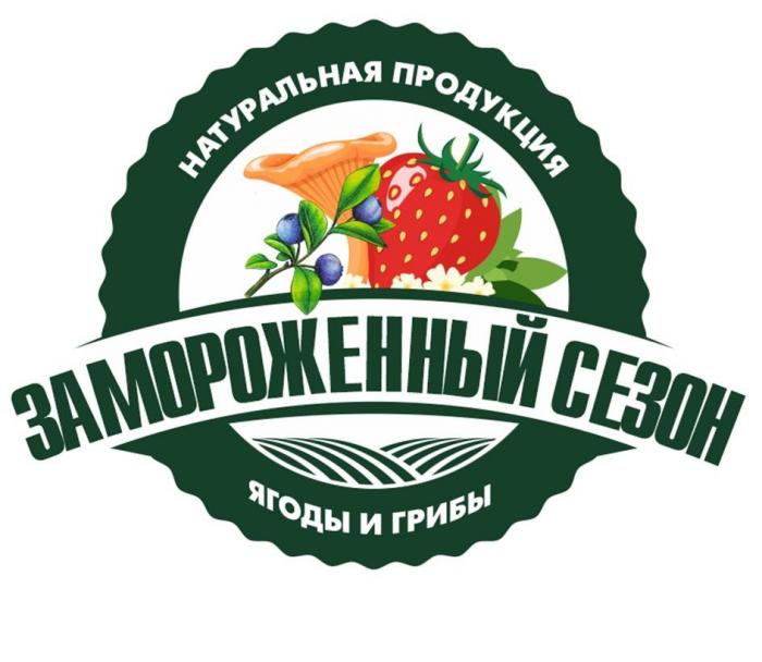 ЗАМОРОЖЕННЫЙ СЕЗОН