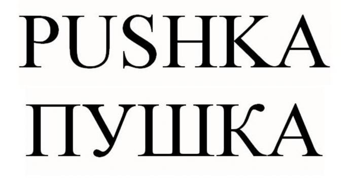 PUSHKA ПУШКА