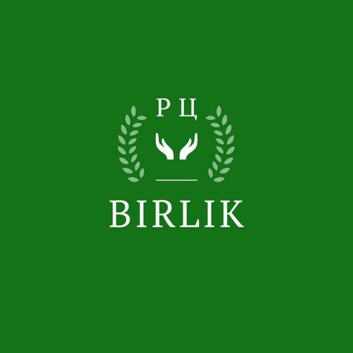 РЦ BIRLIK