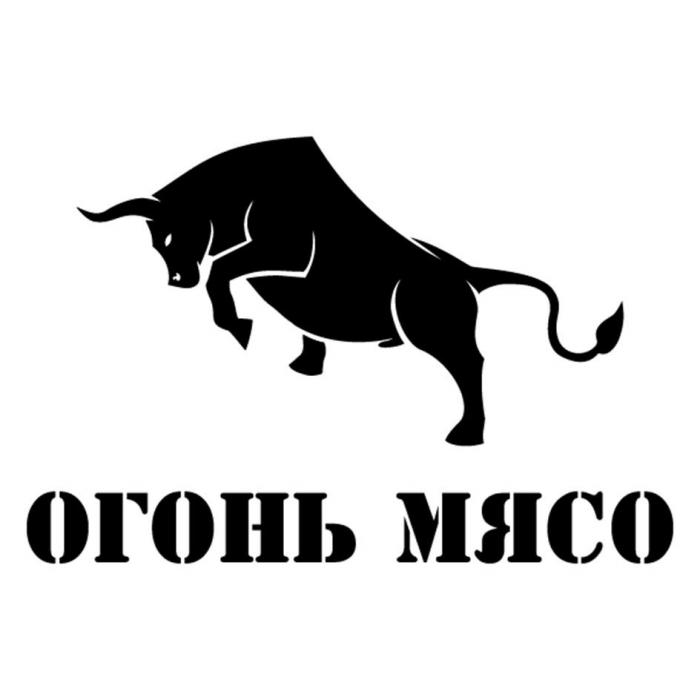 Огонь мясо