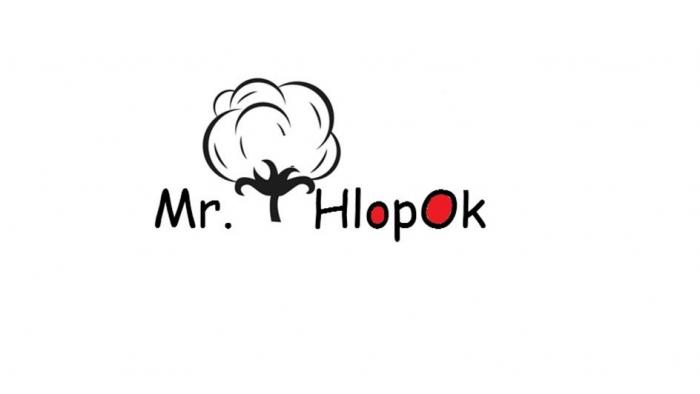 Mr.HlopOK