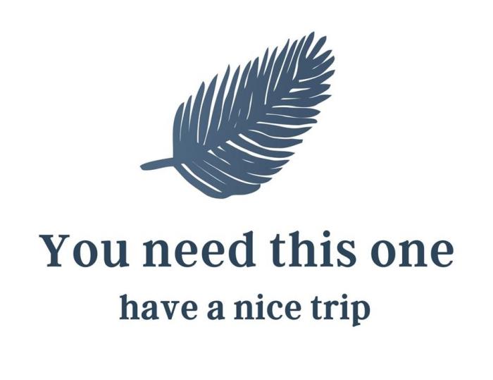 You need this one have a nice trip