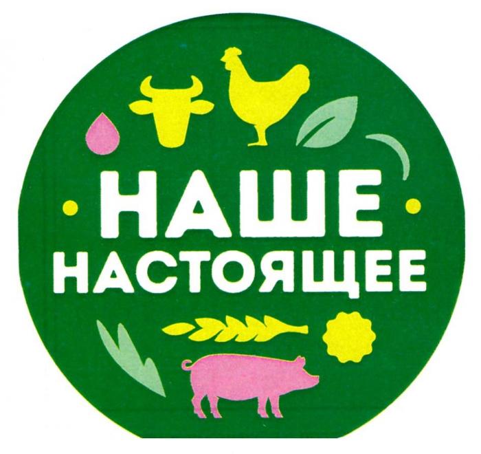 НАШЕ НАСТОЯЩЕЕ