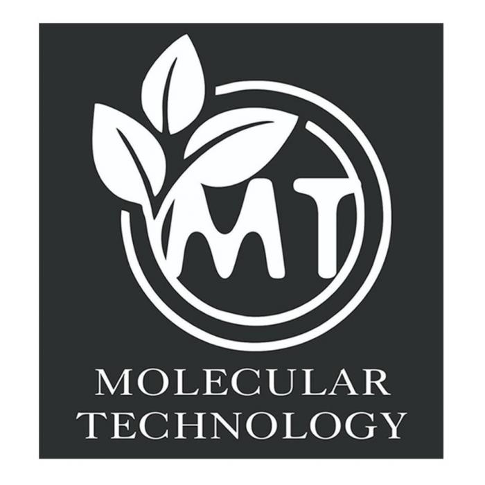 MOLECULAR TECHNOLOGY