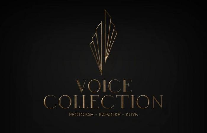 VOICE COLLECTION