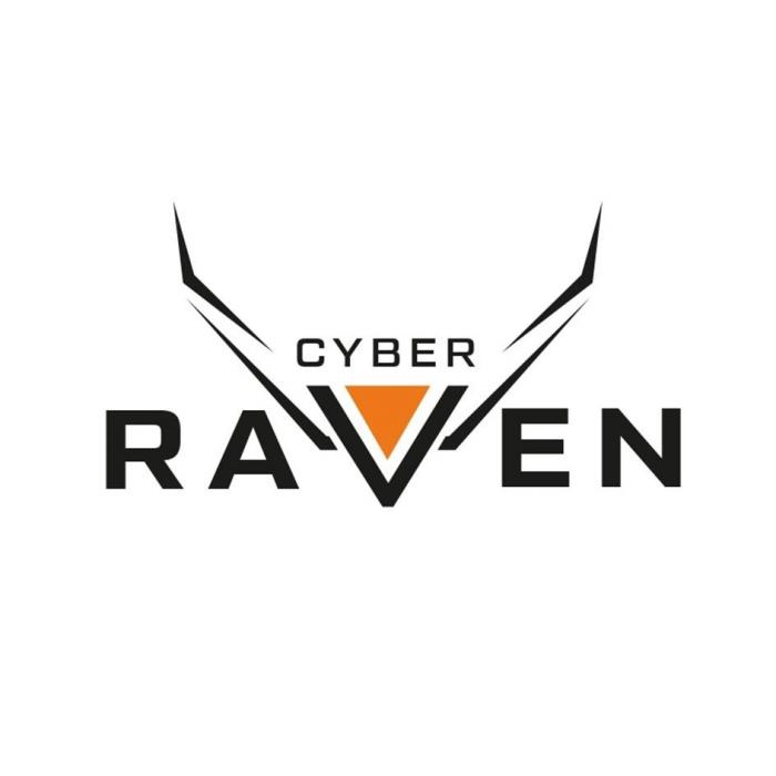 CYBER RAVEN