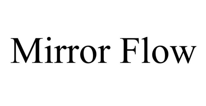 Mirror Flow