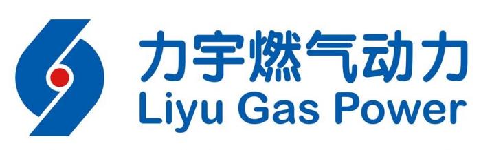 LIYU GAS POWER