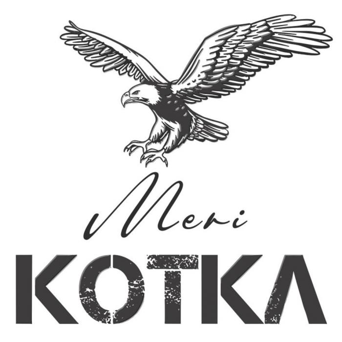 Meri KOTKA