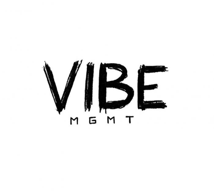 VIBE MGMT