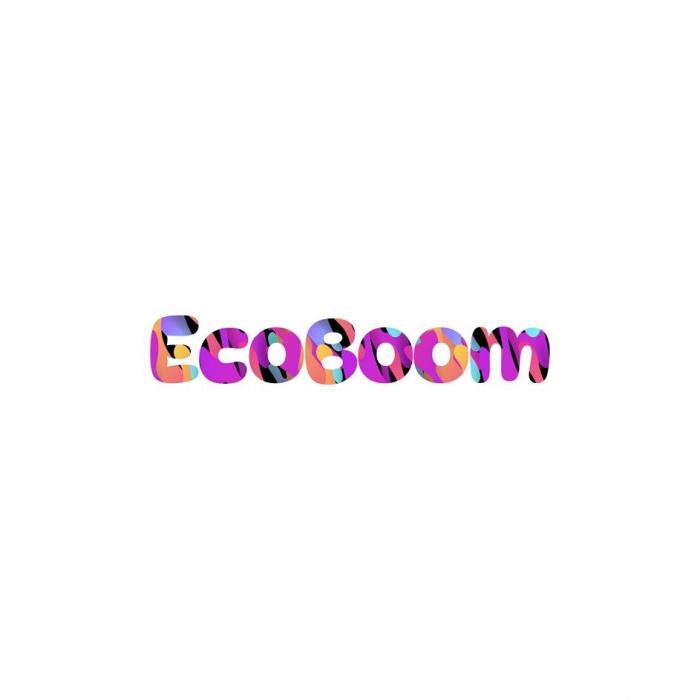 EcoBoom