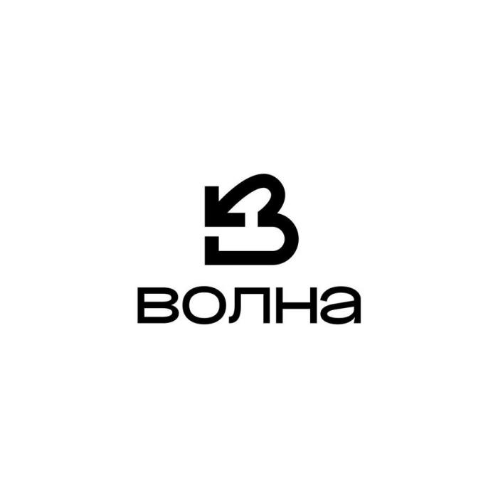 ВОЛНА