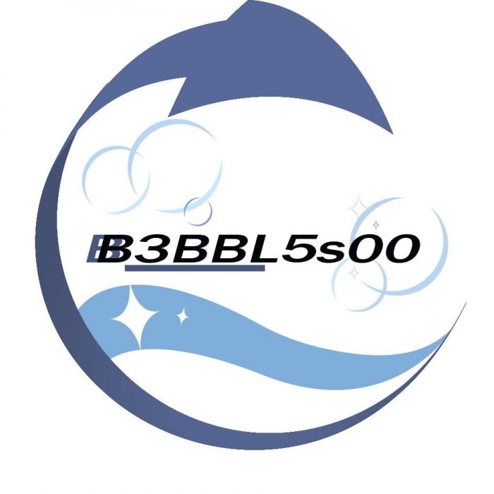 B3BBL5s00