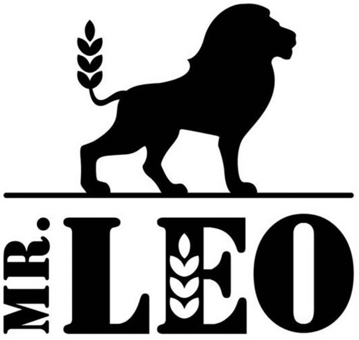 Mr LEO