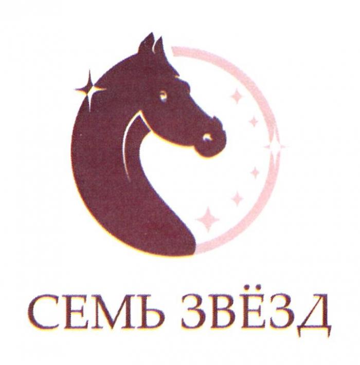 СЕМЬ ЗВЁЗД