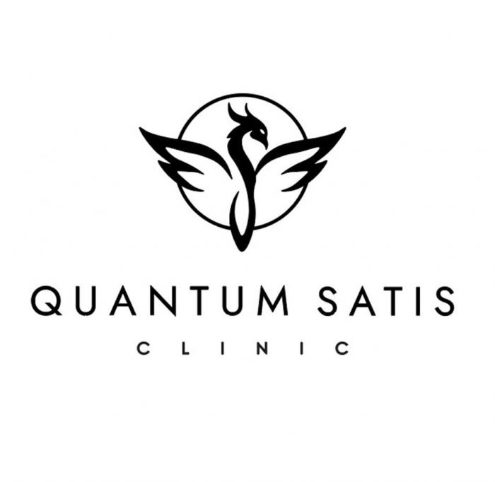 QUANTUM SATIS