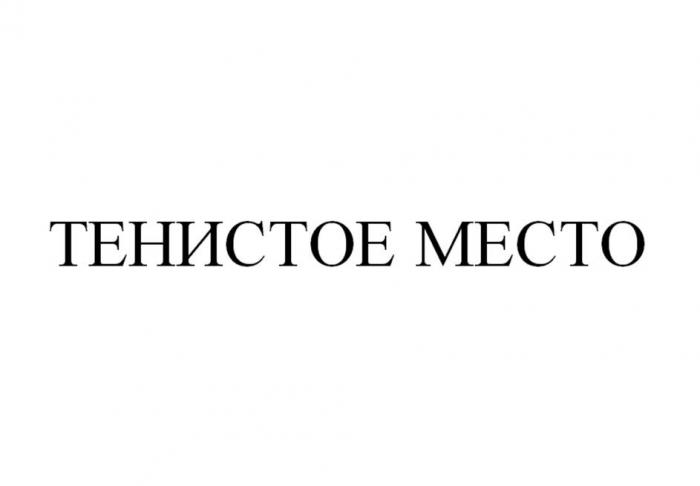 ТЕНИСТОЕ МЕСТО