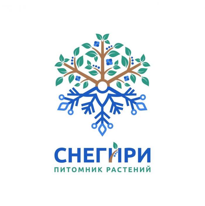 СНЕГИРИ