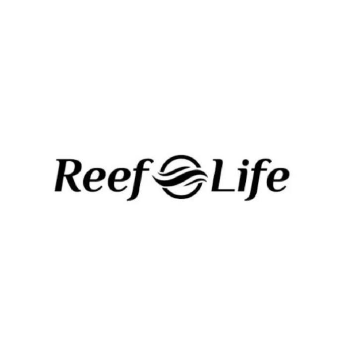 Reef Life