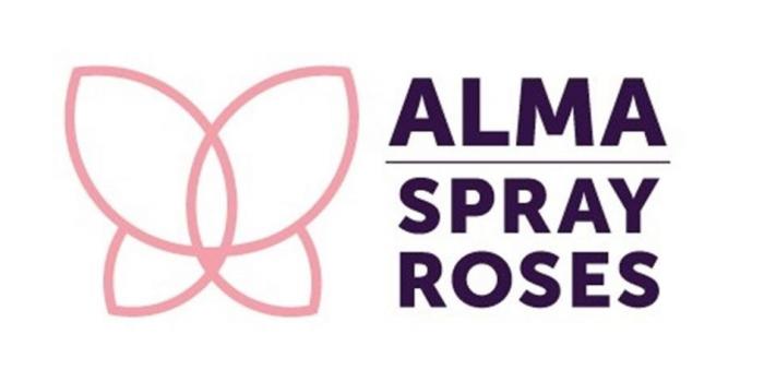 ALMA SPRAY ROSES