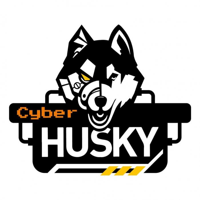 Cyber HUSKY