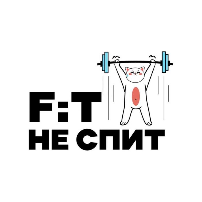 FIT НЕ СПИТ