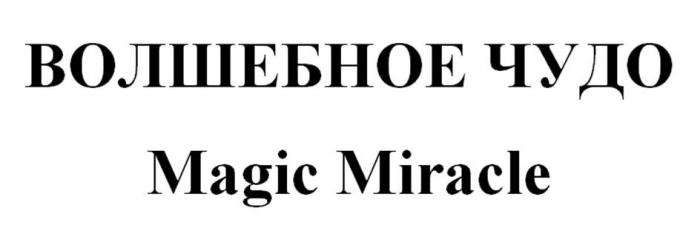 ВОЛШЕБНОЕ ЧУДО Magic Miracle