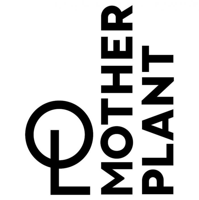 MOTHER PLANT