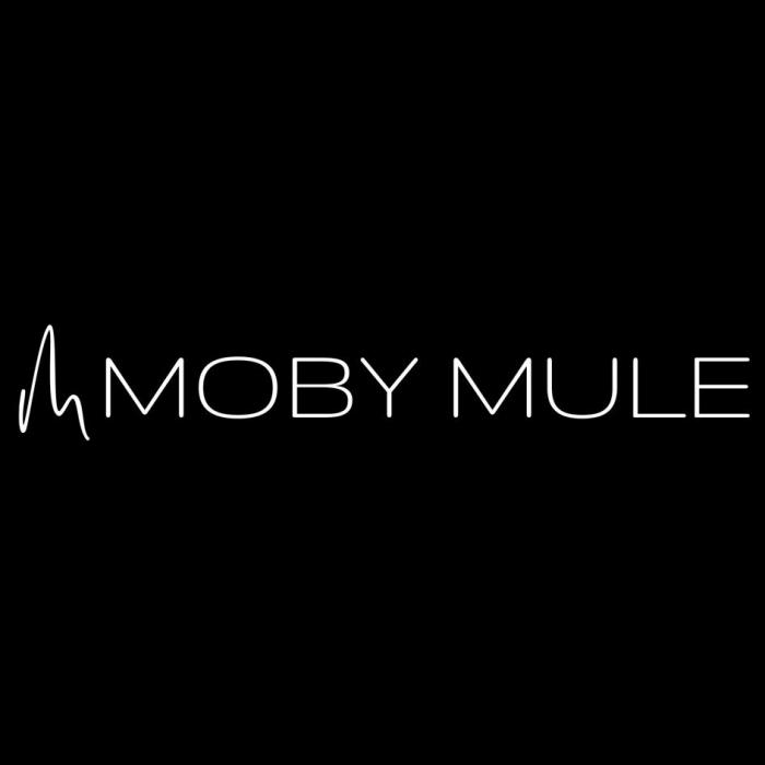 MOBY MULE