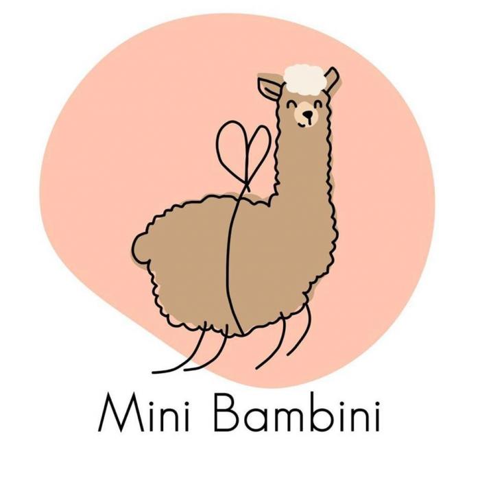 Mini Bambini