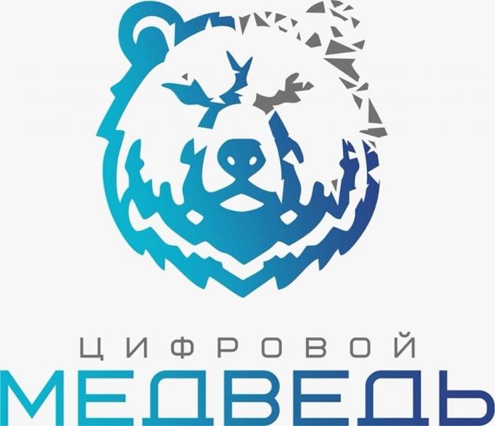 ЦИФРОВОЙ МЕДВЕДЬ