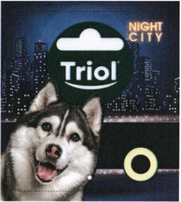 TRIOL NIGHT CITY