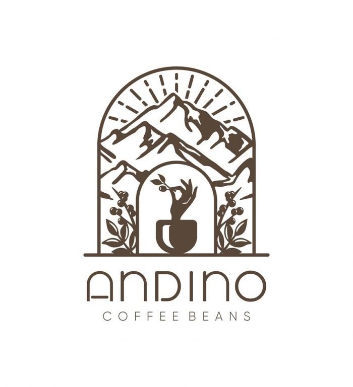 ANDINO, COFFEE BEANS