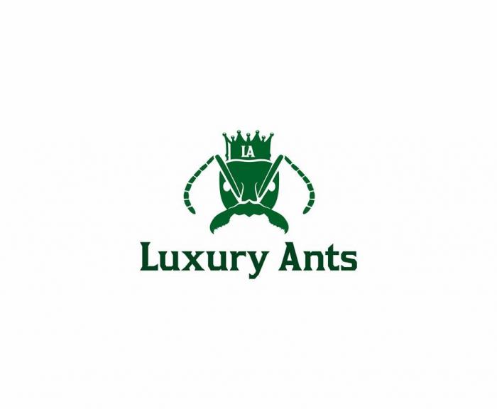 Luxury Ants