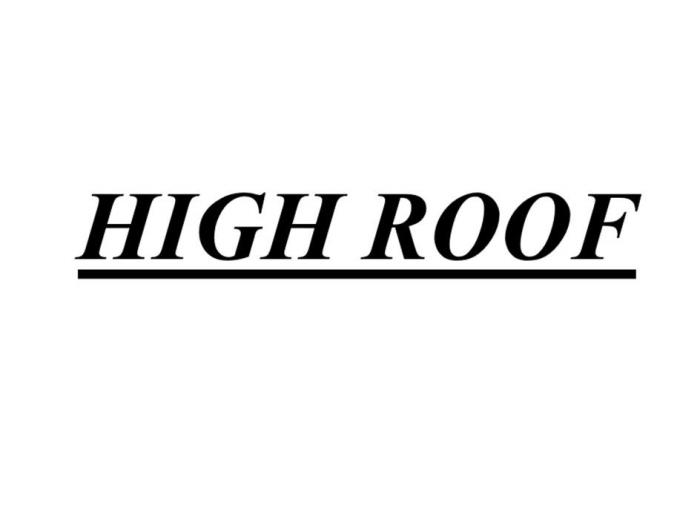 HIGH ROOF