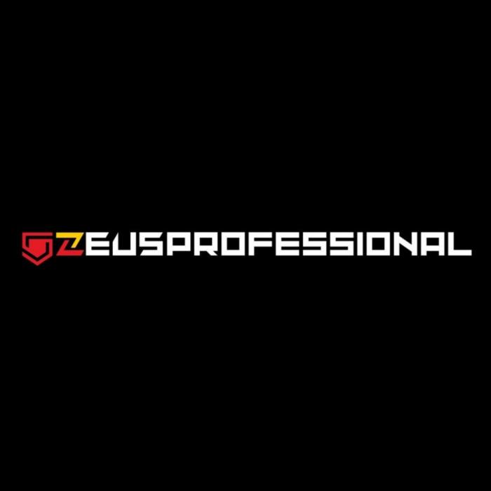 ZEUSPROFESSIONAL