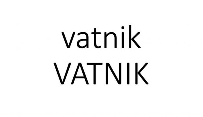 VATNIK vatnik