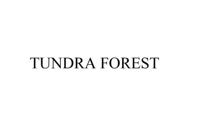 TUNDRA FOREST